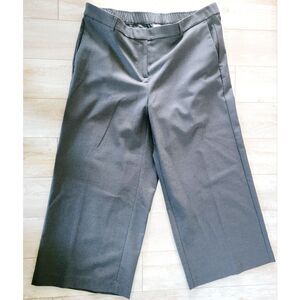 J. Jill 18 Wide‎ Leg Crop Pants Gray Lavarock Stretchy Zip Hook Pckts 1X NEW